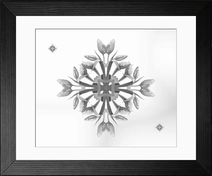 Framed Print : Fine art floral monochrome decorative Framed Print : Fine art floral monochrome decorative