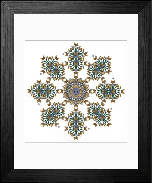 Framed Print : Fine art floral decorative Framed Print : Fine art floral decorative