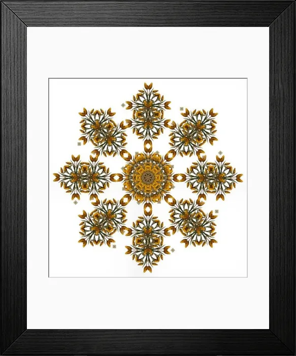 Framed Print : Fine art floral decorative Framed Print : Fine art floral decorative