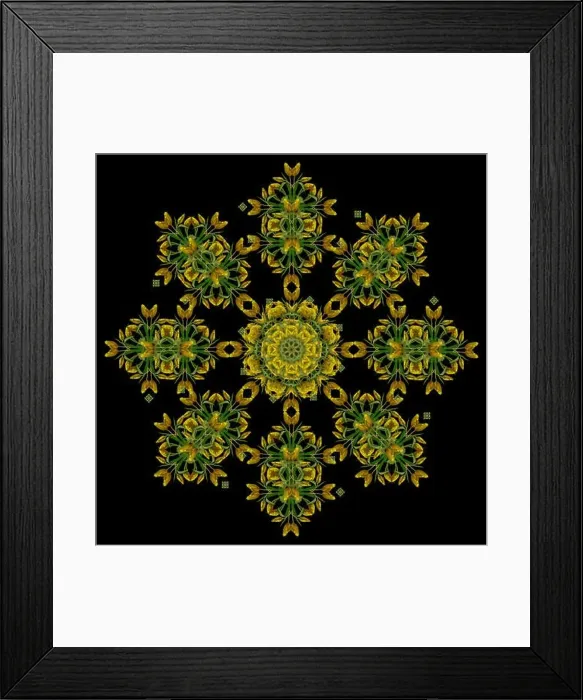 Framed Print : Fine art floral decorative and symmetrical fractal color pattern made from macros of yellow dark green red tulips Framed Print : Fine art floral decorative and symmetrical fractal color pattern made from macros of yellow dark green red tulips