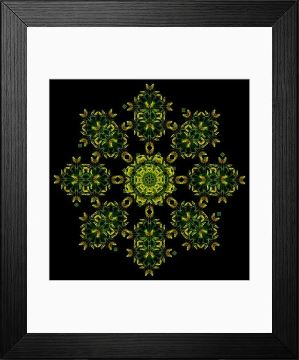 Framed Print : Fine art floral decorative and symmetrical fractal color pattern made from macros of yellow dark green red tulips Framed Print : Fine art floral decorative and symmetrical fractal color pattern made from macros of yellow dark green red tulips