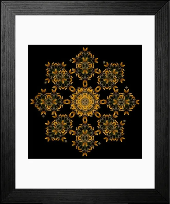 Framed Print : Fine art floral decorative Framed Print : Fine art floral decorative