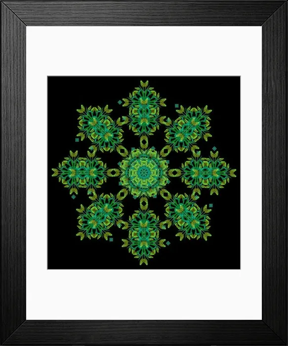 Framed Print : Fine art floral decorative Framed Print : Fine art floral decorative