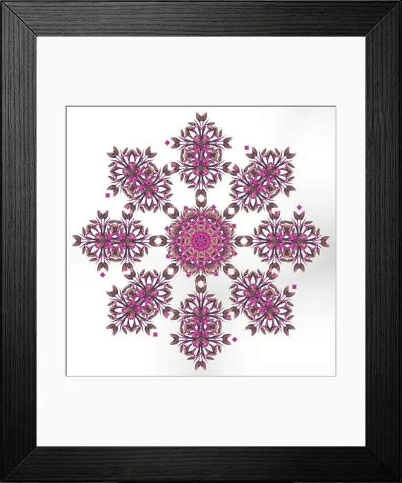 Framed Print : Fine art floral decorative and symmetrical fractal color pattern made from macros of light brown bright pink tulips Framed Print : Fine art floral decorative and symmetrical fractal color pattern made from macros of light brown bright pink tulips