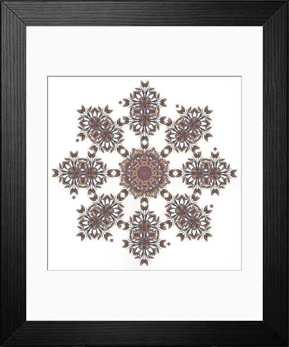 Framed Print : Fine art floral decorative and symmetrical fractal pastel color pattern made from macros of light brown pink tulips Framed Print : Fine art floral decorative and symmetrical fractal pastel color pattern made from macros of light brown pink tulips