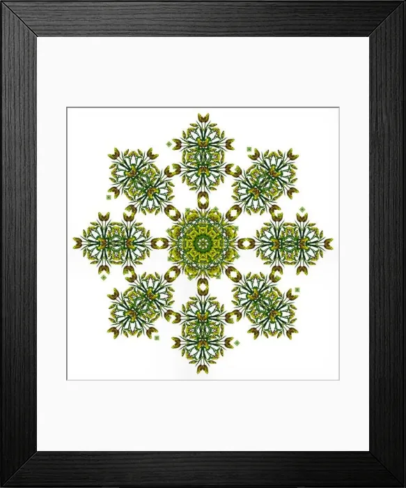 Framed Print : Fine art floral decorative Framed Print : Fine art floral decorative