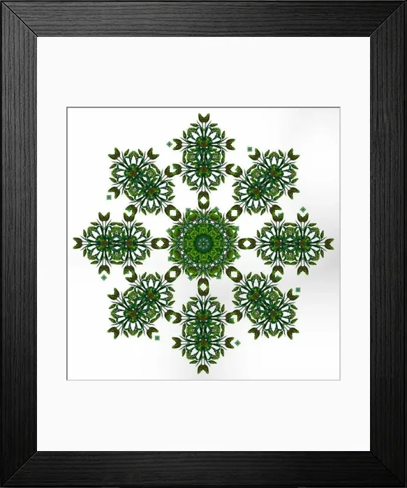 Framed Print : Fine art floral decorative Framed Print : Fine art floral decorative