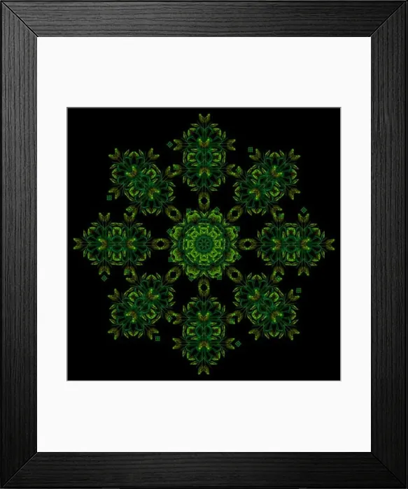 Framed Print : Fine art floral decorative Framed Print : Fine art floral decorative