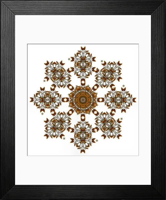 Framed Print : Fine art floral decorative Framed Print : Fine art floral decorative