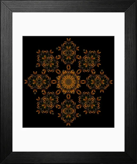 Framed Print : Fine art floral decorative Framed Print : Fine art floral decorative