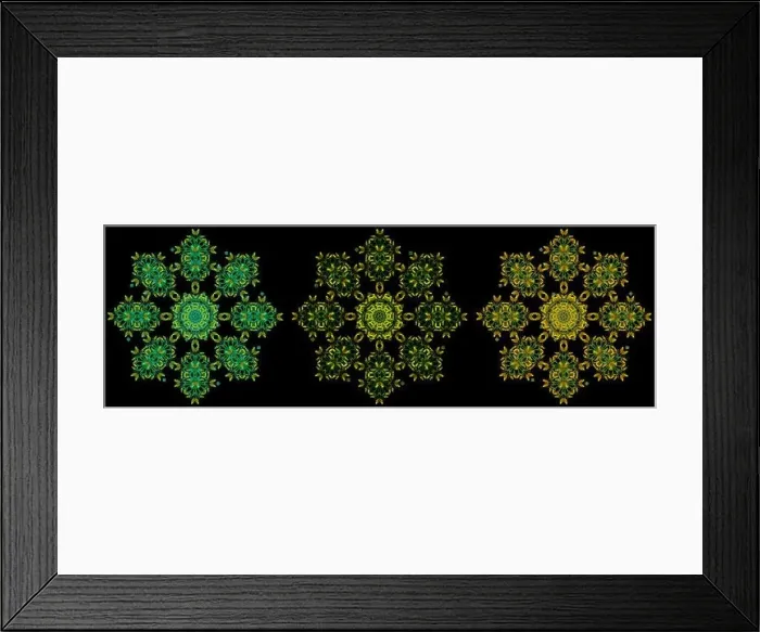 Framed Print : Fine art floral decorative Framed Print : Fine art floral decorative