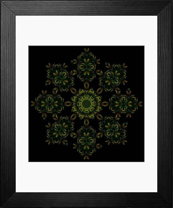 Framed Print : Fine art floral decorative Framed Print : Fine art floral decorative