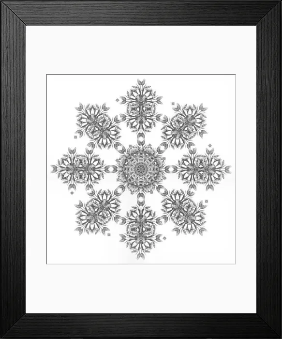 Framed Print : Fine art floral monochrome decorative Framed Print : Fine art floral monochrome decorative