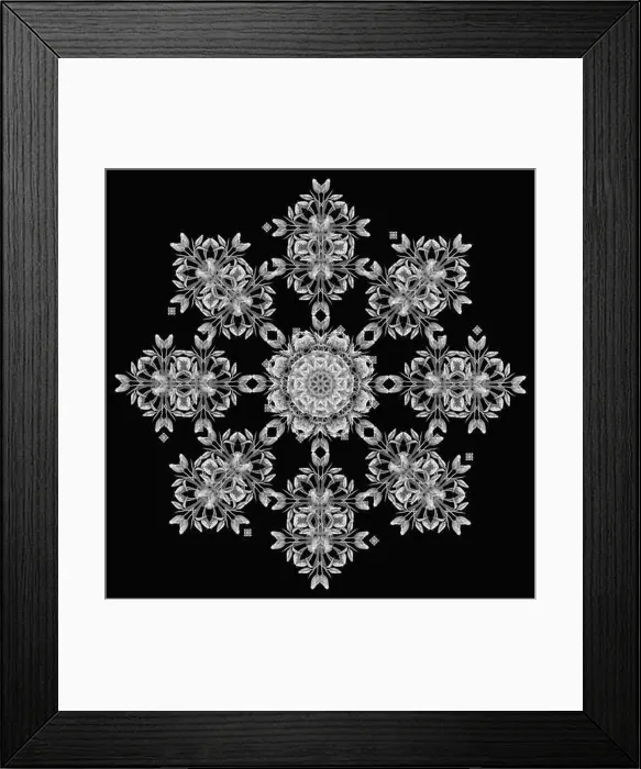 Framed Print : Fine art floral decorative