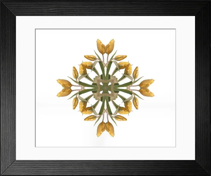 Framed Print : Fine art floral decorative Framed Print : Fine art floral decorative