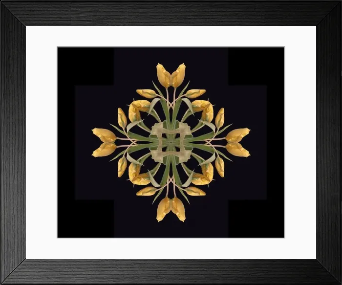 Framed Print : Fine art floral decorative Framed Print : Fine art floral decorative