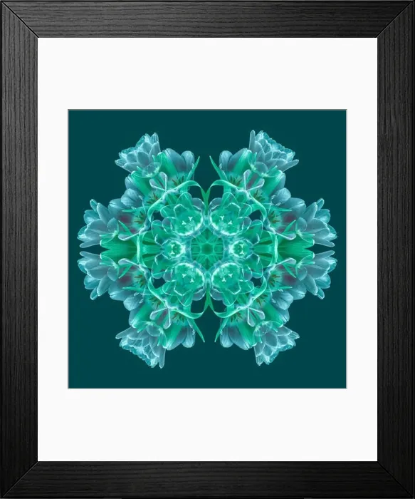 Framed Print : Fine art floral decorative Framed Print : Fine art floral decorative