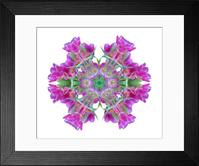 Framed Print : Fine art floral decorative Framed Print : Fine art floral decorative