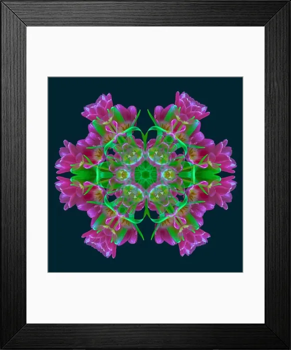 Framed Print : Fine art floral decorative Framed Print : Fine art floral decorative