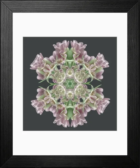 Framed Print : Fine art floral decorative Framed Print : Fine art floral decorative
