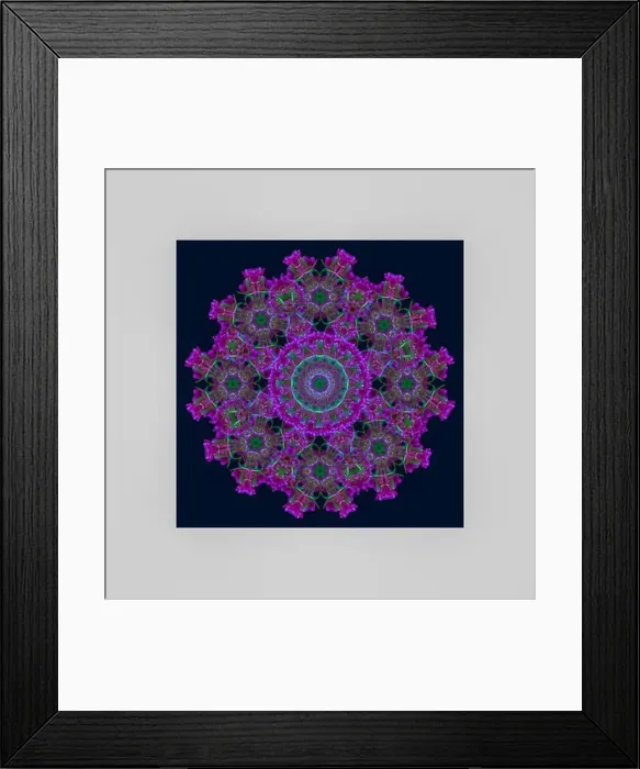 Framed Print : Fine art floral decorative and geometrical color pattern / mandala made from macros of red green tulips on blue Framed Print : Fine art floral decorative and geometrical color pattern / mandala made from macros of red green tulips on blue