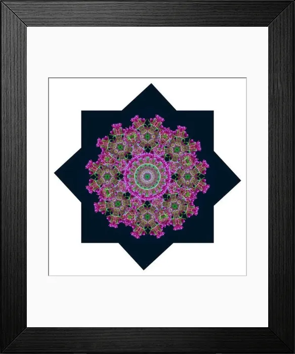 Framed Print : Fine art floral decorative and geometrical color pattern / mandala made from macros of red green tulips Framed Print : Fine art floral decorative and geometrical color pattern / mandala made from macros of red green tulips