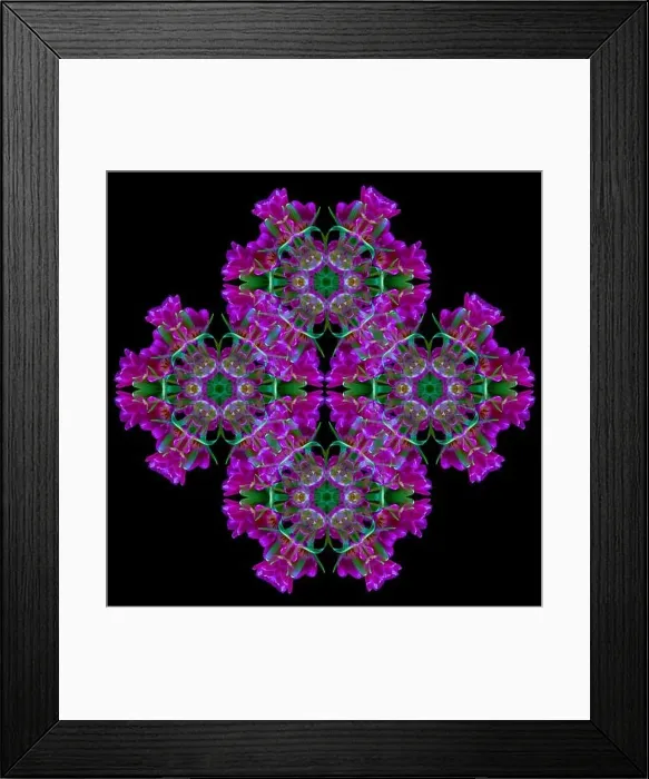 Framed Print : Fine art floral decorative Framed Print : Fine art floral decorative