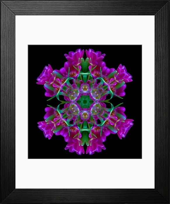Framed Print : Fine art floral decorative Framed Print : Fine art floral decorative