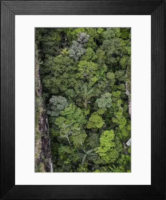 Framed Print : Aerial view of a green forest on Langkawi Island, Malaysia Framed Print : Aerial view of a green forest on Langkawi Island, Malaysia