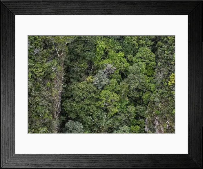 Framed Print : Aerial view of a green forest on Langkawi Island, Malaysia Framed Print : Aerial view of a green forest on Langkawi Island, Malaysia