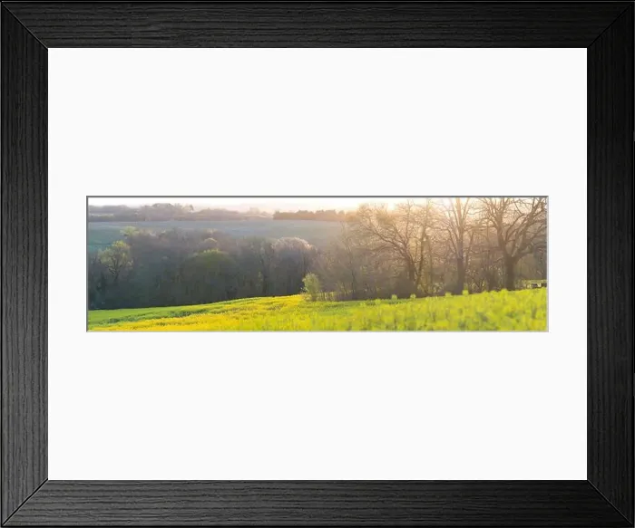 Framed Print : Blossoming young plum garden and rapeseed field, top view, Span of the drone over the plum blooming, France Framed Print : Blossoming young plum garden and rapeseed field, top view, Span of the drone over the plum blooming, France