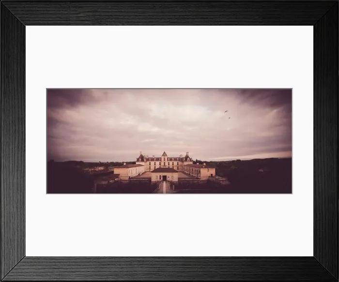 Framed Print : Aerial view, France, the renaissance castle, Cadillac in Gironde, filmed by drone, Aquitaine Framed Print : Aerial view, France, the renaissance castle, Cadillac in Gironde, filmed by drone, Aquitaine