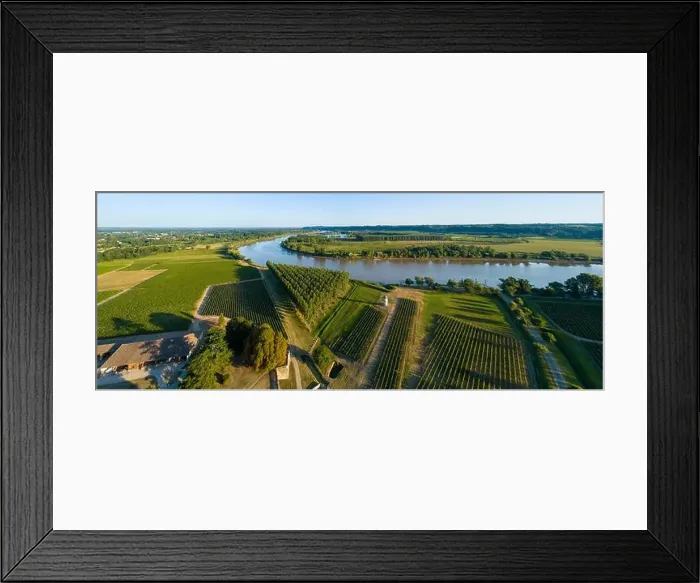 Framed Print : Aerial view bordeaux vineyard, landscape vineyard south west of france, europe Framed Print : Aerial view bordeaux vineyard, landscape vineyard south west of france, europe