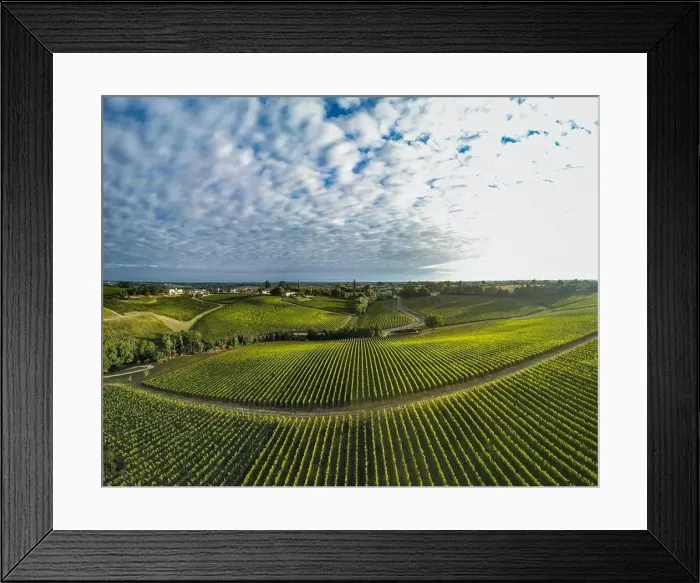 Framed Print : Aerial view Bordeaux Vineyard at sunrise, film by drone in summer, Entre deux mers, Langoiran Framed Print : Aerial view Bordeaux Vineyard at sunrise, film by drone in summer, Entre deux mers, Langoiran