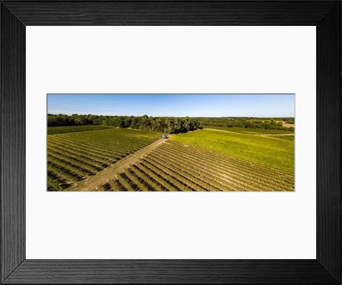 Framed Print : Grape harvesting machine, Aerial view of Wine country harvesting grape with harvester machine