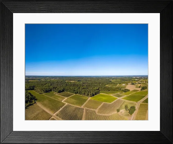 Framed Print : Grape harvesting machine, Aerial view of Wine country harvesting grape with harvester machine Framed Print : Grape harvesting machine, Aerial view of Wine country harvesting grape with harvester machine