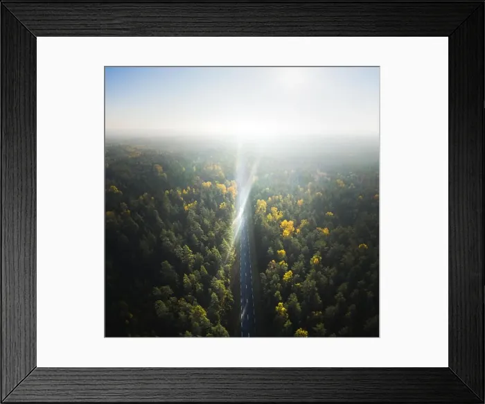 Framed Print : Road through forest, aerial view Framed Print : Road through forest, aerial view