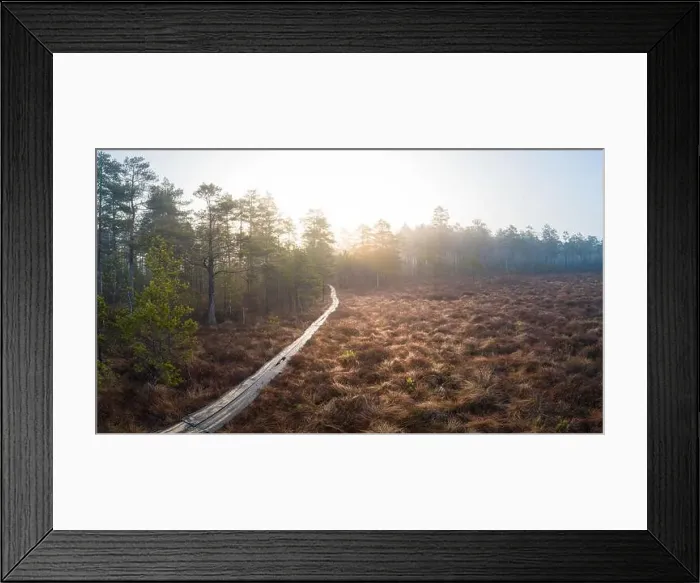 Framed Print : Path Through Woods, Morning Mist
