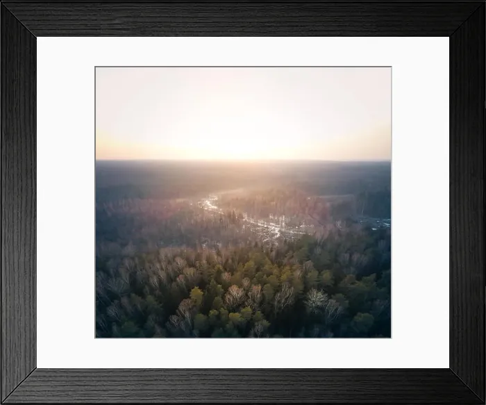 Framed Print : Forest Swamp, Aerial View