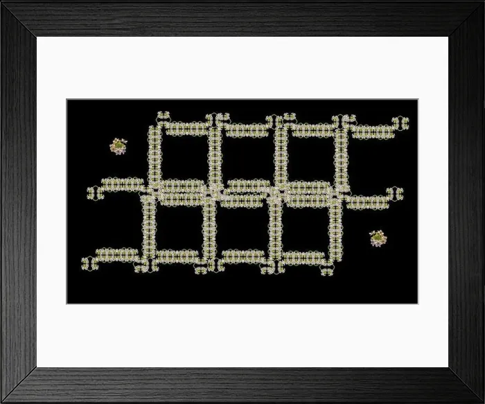 Framed Print : Fine art still life floral color ornamental pattern made of macros of white green cluster / circle of Star-of-Bethlehem