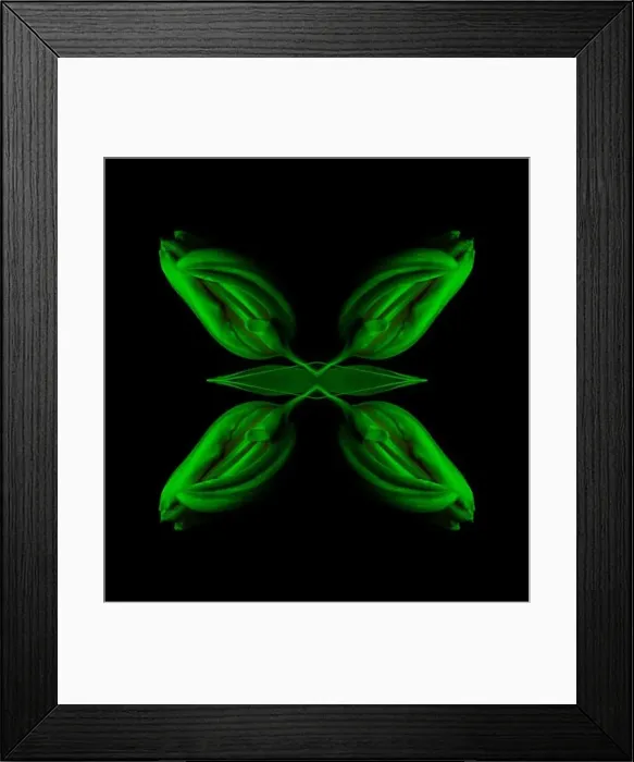 Framed Print : Surrealistic symmetrical geometrical low key neon colored pattern made with a macro of an isolated yellow green closed Framed Print : Surrealistic symmetrical geometrical low key neon colored pattern made with a macro of an isolated yellow green closed