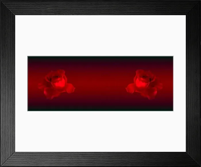 Framed Print : Surrealistic fine art still life low key red toned macro of a pair of single isolated rose blossoms Framed Print : Surrealistic fine art still life low key red toned macro of a pair of single isolated rose blossoms