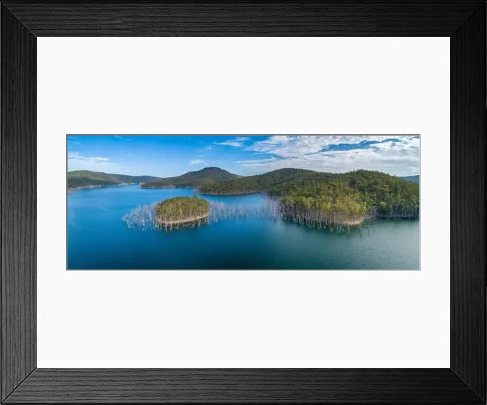 Framed Print : Aerial panorama of bare trees growing in water and mountains at Advancetown Lake in Queensland, Australia Framed Print : Aerial panorama of bare trees growing in water and mountains at Advancetown Lake in Queensland, Australia