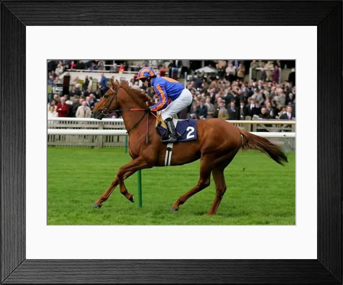 Framed Print : CITY OF TROY RIDDEN BY K.FALLON ROWLEY MILE COURSE NEWMARKET ENGLAND 20 April 2006 Framed Print : CITY OF TROY RIDDEN BY K.FALLON ROWLEY MILE COURSE NEWMARKET ENGLAND 20 April 2006