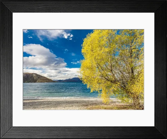 Framed Print : New Zealand landscape, Lake Wanaka, Glendhu Bay - lake and trees