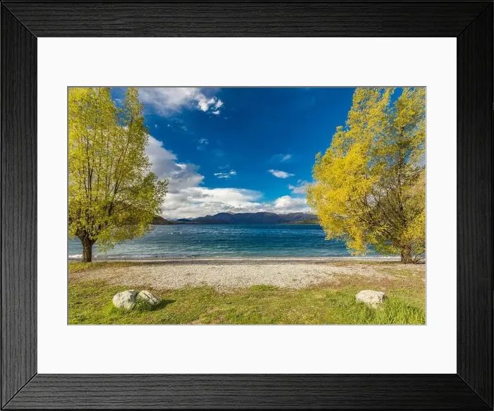 Framed Print : New Zealand landscape, Lake Wanaka, Glendhu Bay - lake and trees