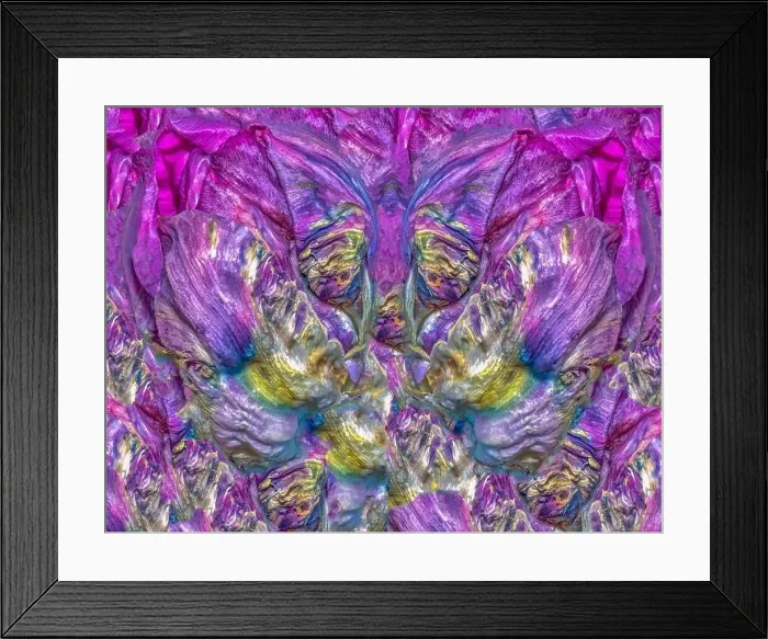 Framed Print : Fine art floral colorful background abstract pattern created from a parrot tulip blossom in bright pop-art colors Framed Print : Fine art floral colorful background abstract pattern created from a parrot tulip blossom in bright pop-art colors