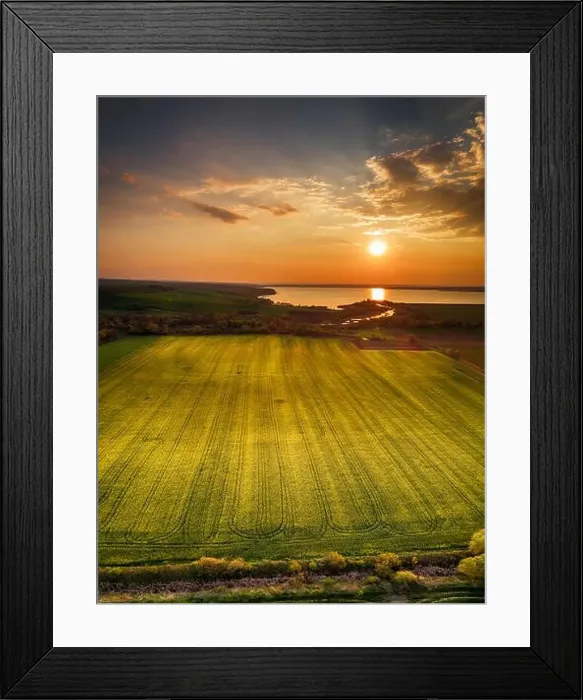 Framed Print : Aerial panorama taken with flying drone with yellow rapeseed field and agricultural land at sunset Framed Print : Aerial panorama taken with flying drone with yellow rapeseed field and agricultural land at sunset