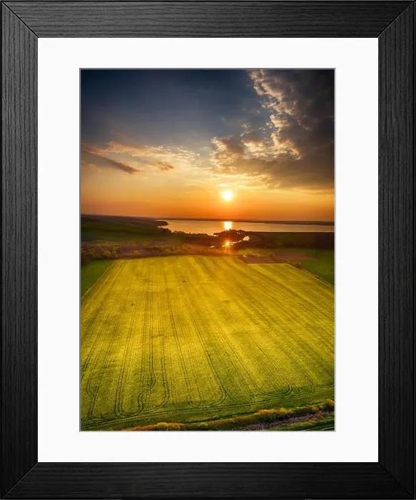 Framed Print : Aerial panorama taken with flying drone with yellow rapeseed field and agricultural land at sunset Framed Print : Aerial panorama taken with flying drone with yellow rapeseed field and agricultural land at sunset
