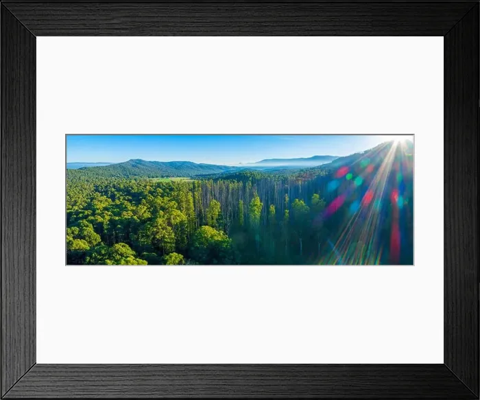 Framed Print : Aerial panorama of native Australian forest and mountains. Marysville, Victoria, Australia Framed Print : Aerial panorama of native Australian forest and mountains. Marysville, Victoria, Australia